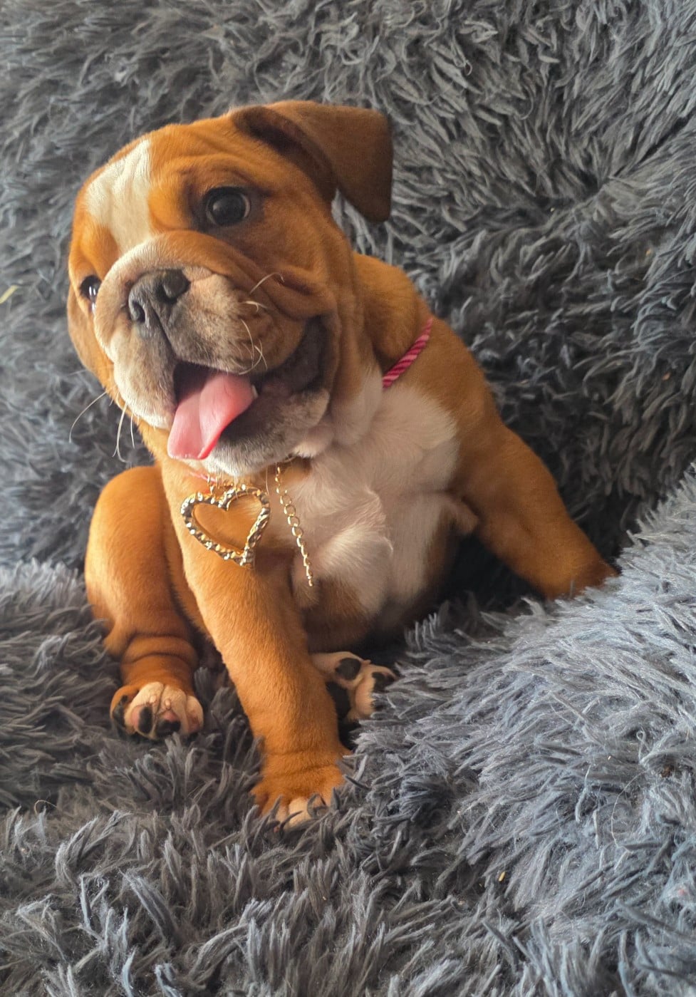 Betty