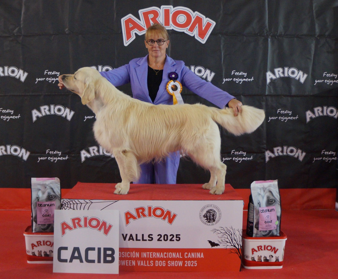 CH. The killer venom De La Côte Des Hortensias