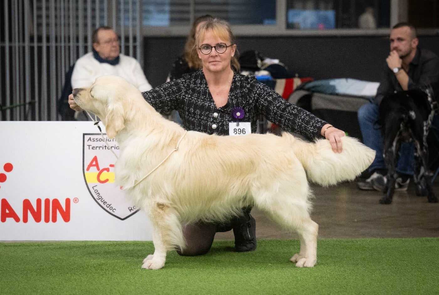 CH. The killer venom De La Côte Des Hortensias
