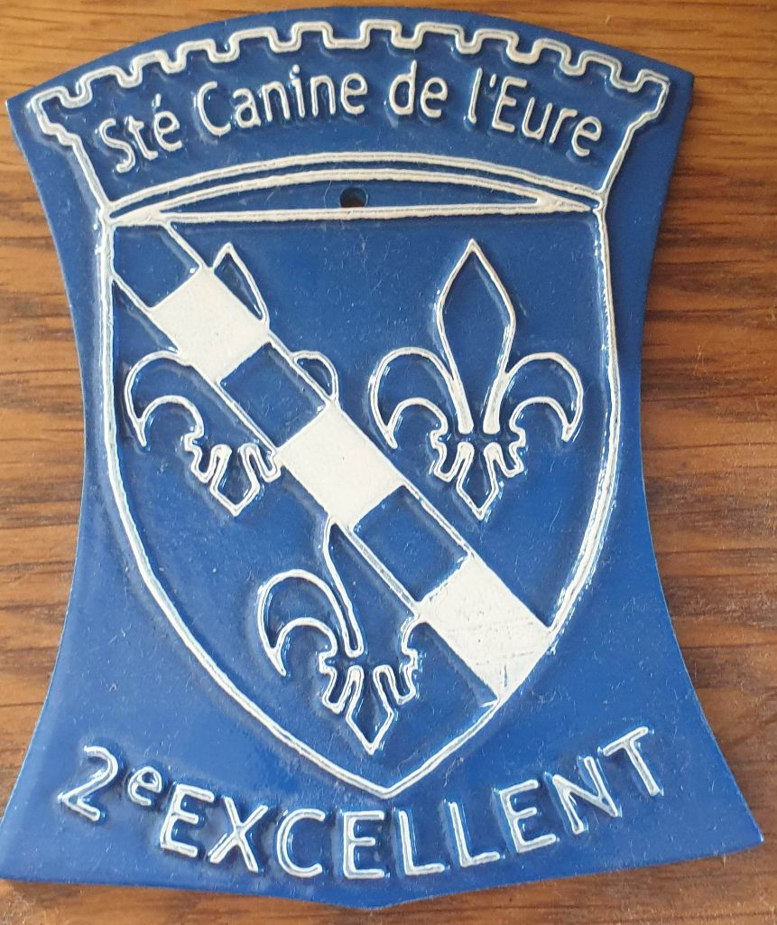 ice prince Cocochanel - 2éme Excellent COF