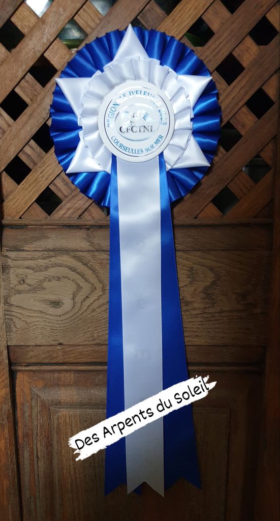 ice prince Cocochanel - 3éme Excellent COF - TAN