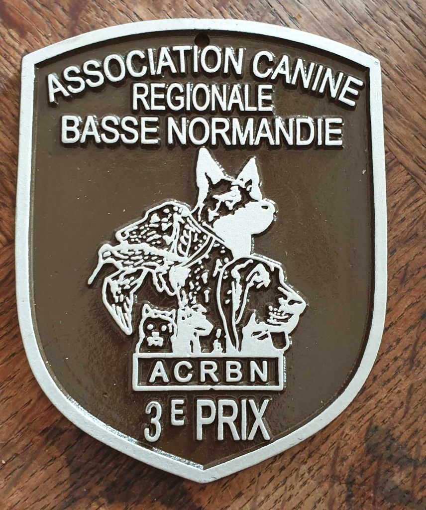 ice prince Cocochanel - 3éme Excellent COF