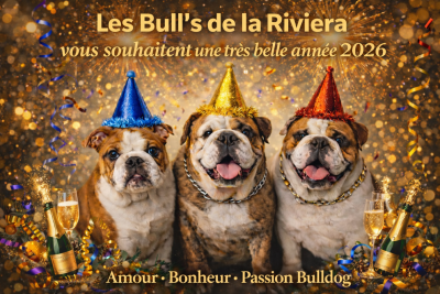les Bull's de la Rivièra