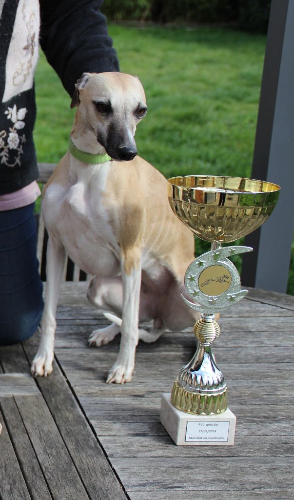 Miss américa du Puech d'argent - 3eme Excellent/13 45 points