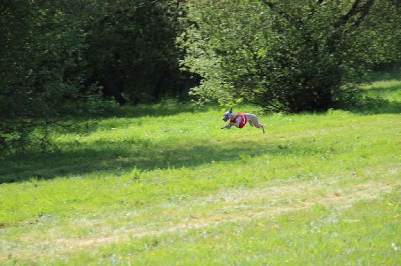 Eden du domaine de l'Ouye - RCACP