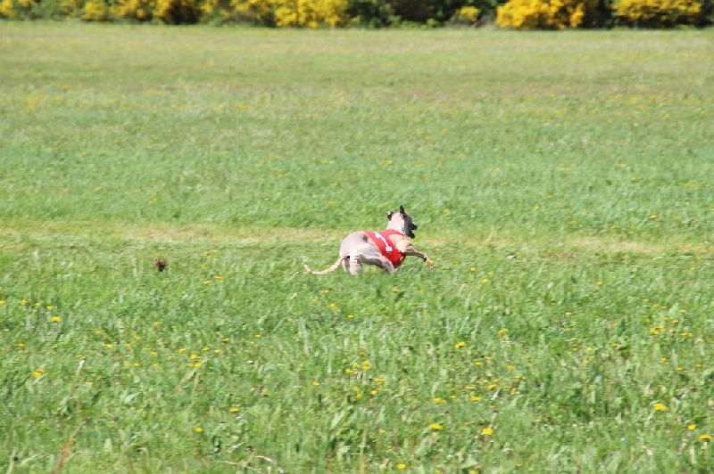 Eden du domaine de l'Ouye - 1 ere exc CACP sur 14 - 45 points/50