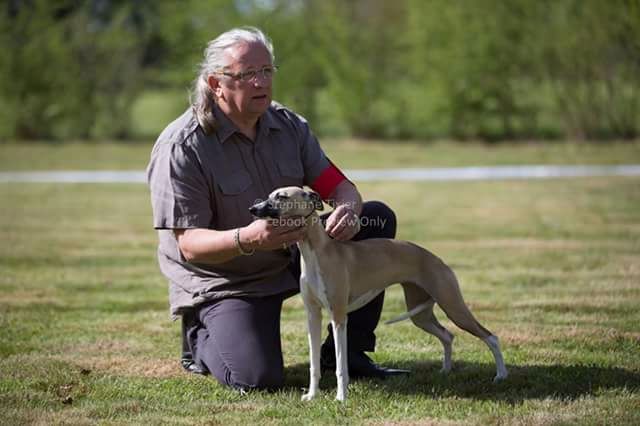 Miss américa du Puech d'argent - Prometteur non classé