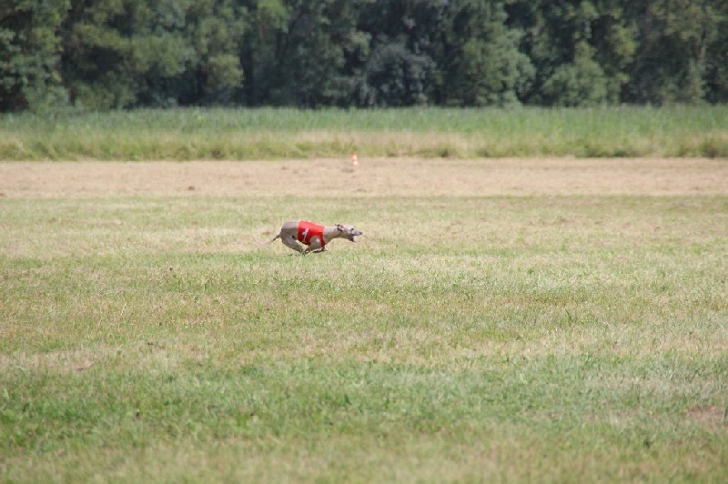 Eden du domaine de l'Ouye - 13 eme EXC sur 28 - 42 points/50
