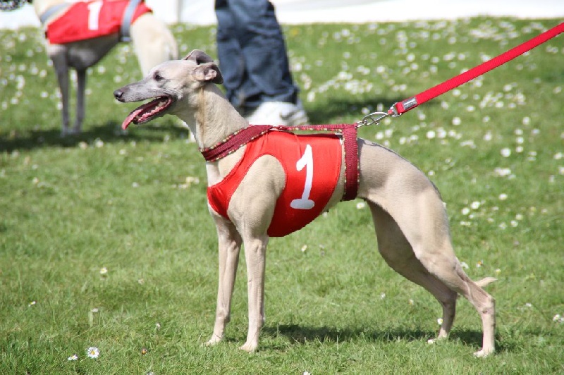 Eden du domaine de l'Ouye - 8 ème EXC sur 13-36 points/50