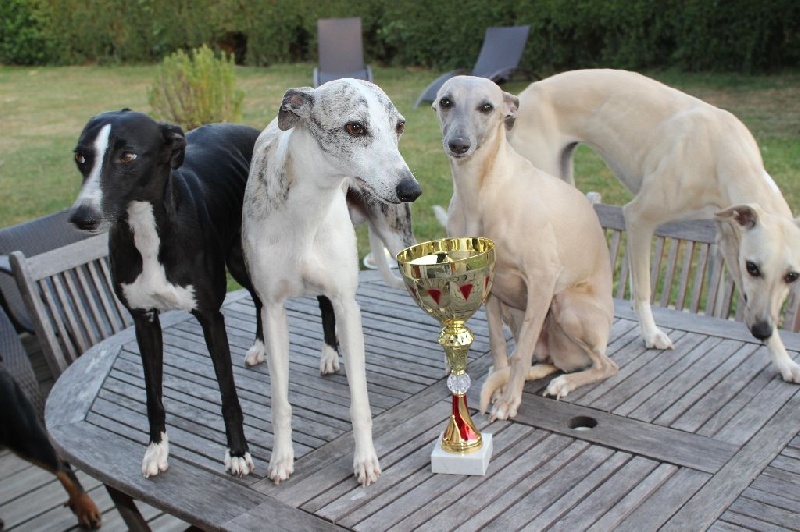 Eden du domaine de l'Ouye - CACP Meilleur pointage