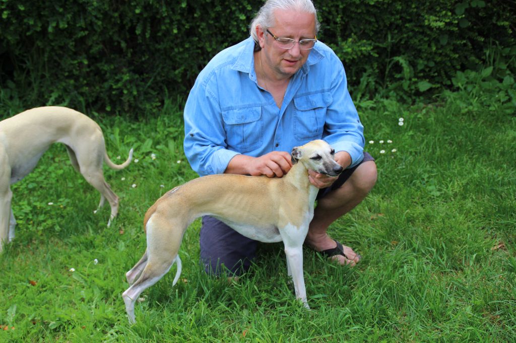 Miss américa du Puech d'argent - 11 éme EXC /45 16+22 points