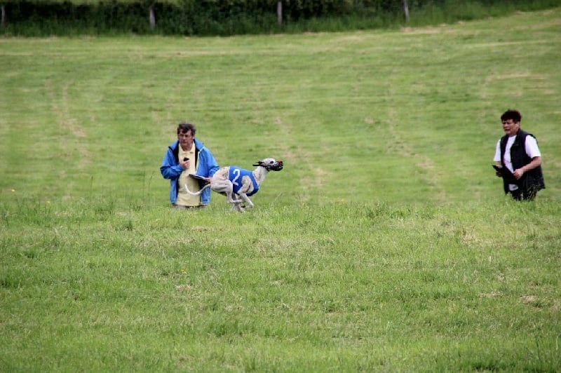 Heliot von Hoëhenzoller - 9 éme excellent