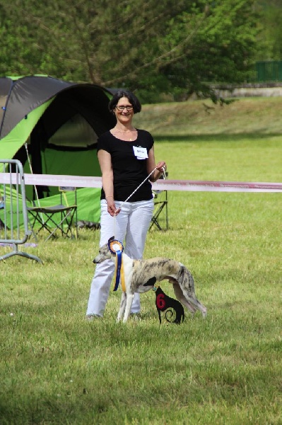 Heliot von Hoëhenzoller - 6 éme excellent sur 17