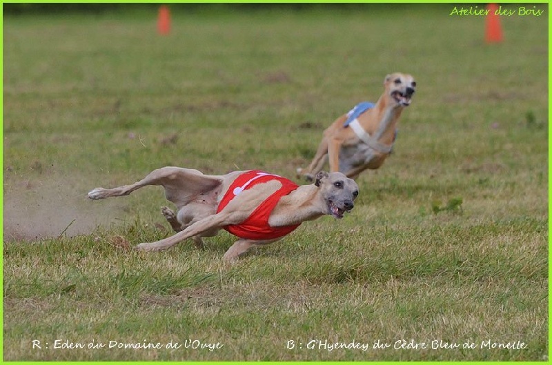 Eden du domaine de l'Ouye - Excellent