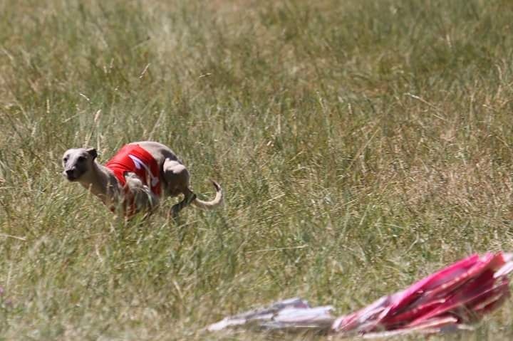 Eden du domaine de l'Ouye - 5 eme exc sur 11 - 40 points/50