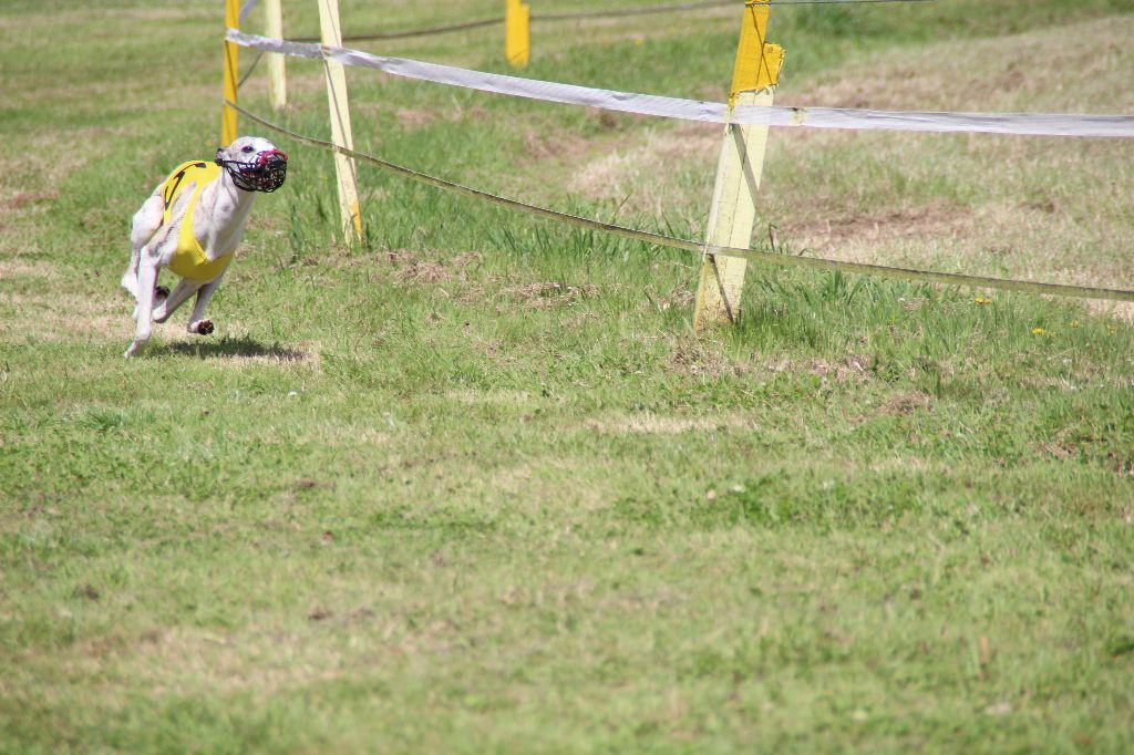 Heliot von Hoëhenzoller - 2ème EXC