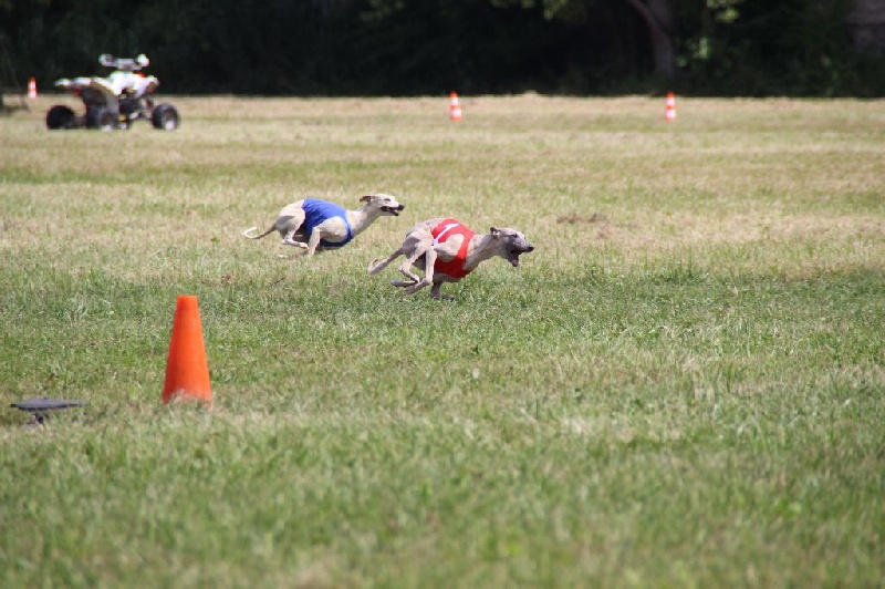 Eden du domaine de l'Ouye - CACP 1 ere excellent