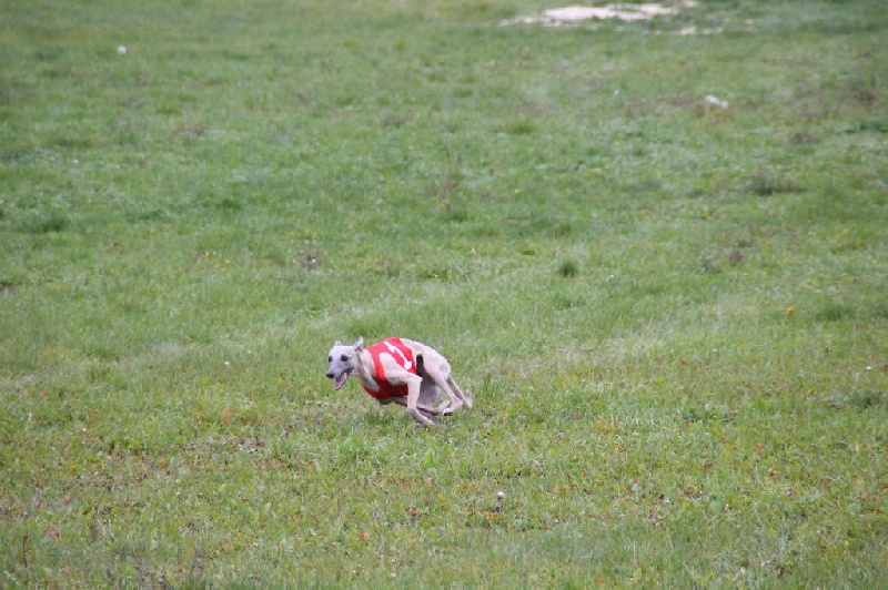 Eden du domaine de l'Ouye - 7éme EXL /19 -37 points/50