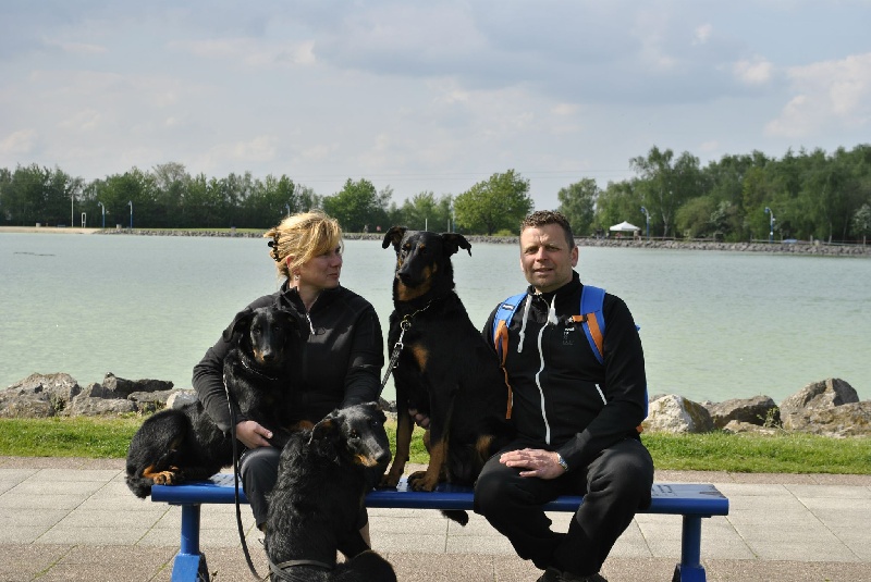 Publication : D'Artemis Rouge