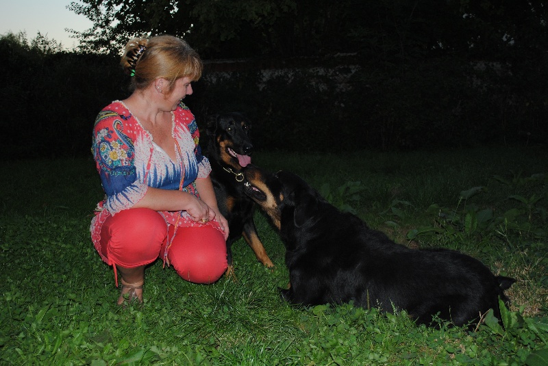 Publication : D'Artemis Rouge Auteur : Tamara