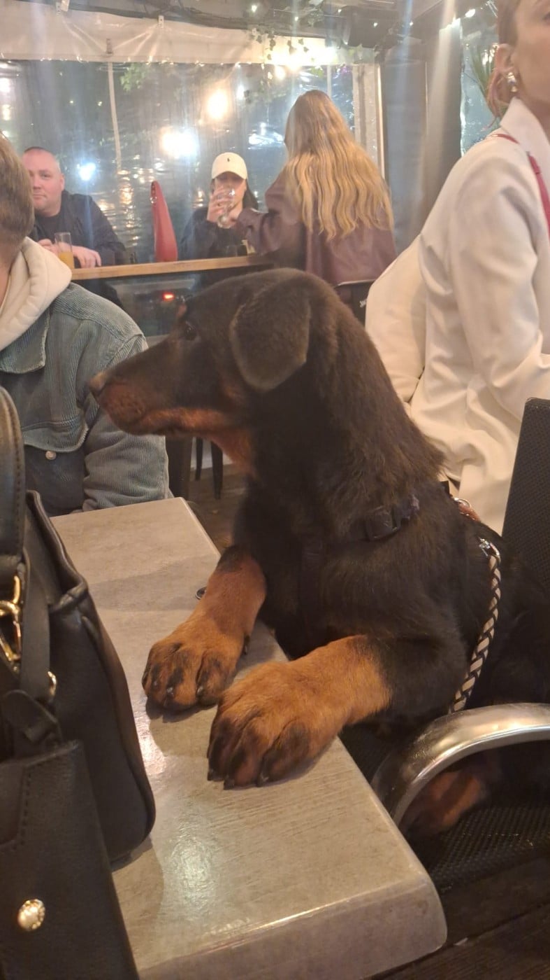 Aska (Arya) de Boichaille