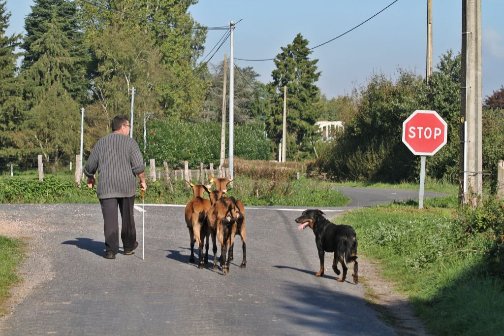 Uncas De La Comté Des Odins