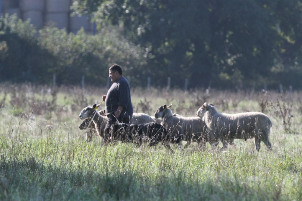 Uncas De La Comté Des Odins