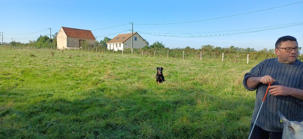 Usen De La Comté Des Odins