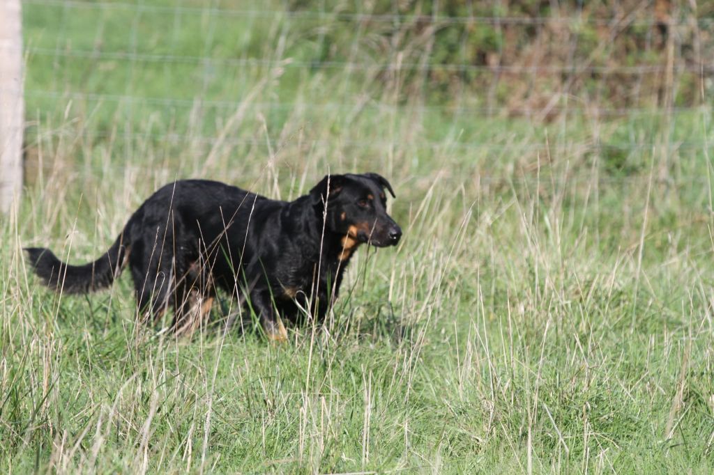 Usen De La Comté Des Odins