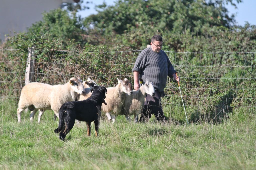 Uncas De La Comté Des Odins