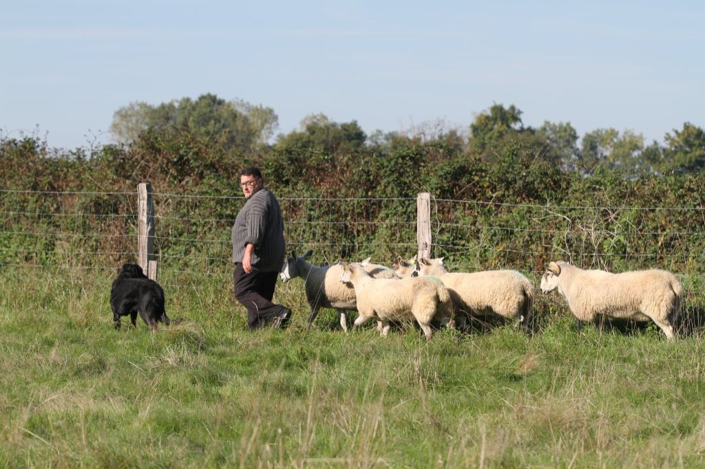 Usen De La Comté Des Odins