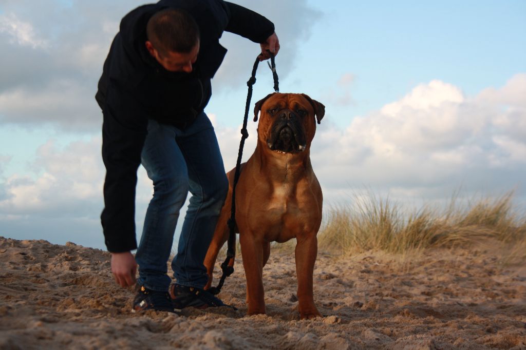 Publication : Du Domaine De Mc Queen