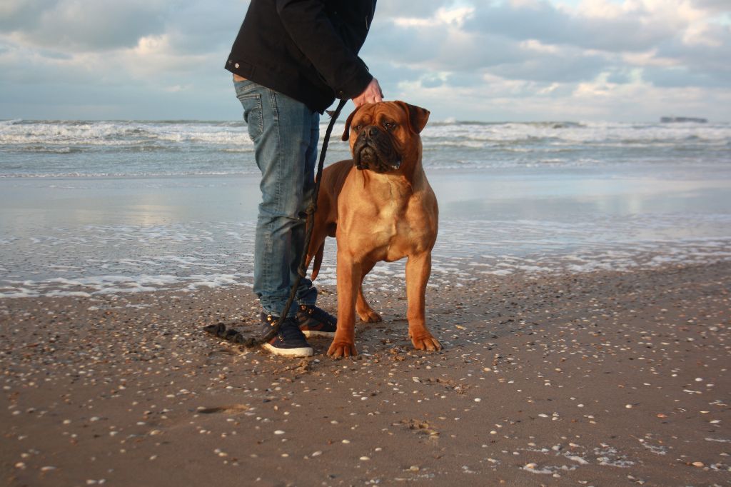 Publication : Du Domaine De Mc Queen