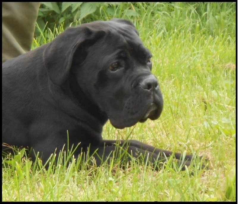 Publication : Du Moulin De Bagneux