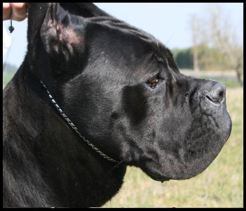 Publication : Du Moulin De Bagneux