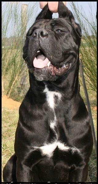 Publication : Du Moulin De Bagneux