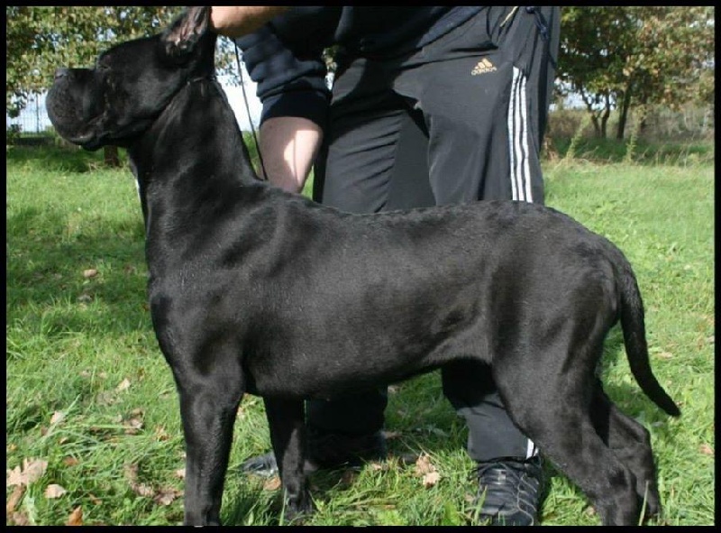 Publication : Du Moulin De Bagneux