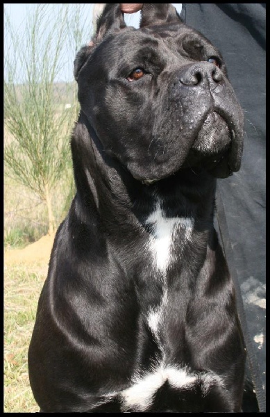 Publication : Du Moulin De Bagneux