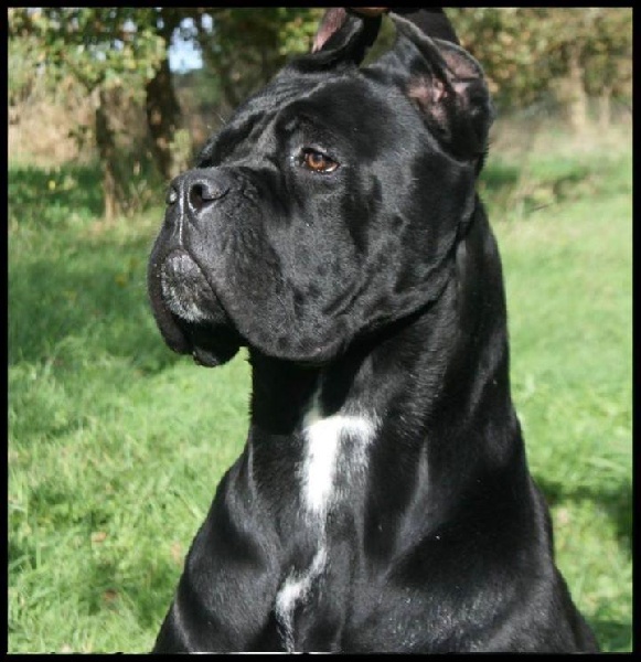 Publication : Du Moulin De Bagneux