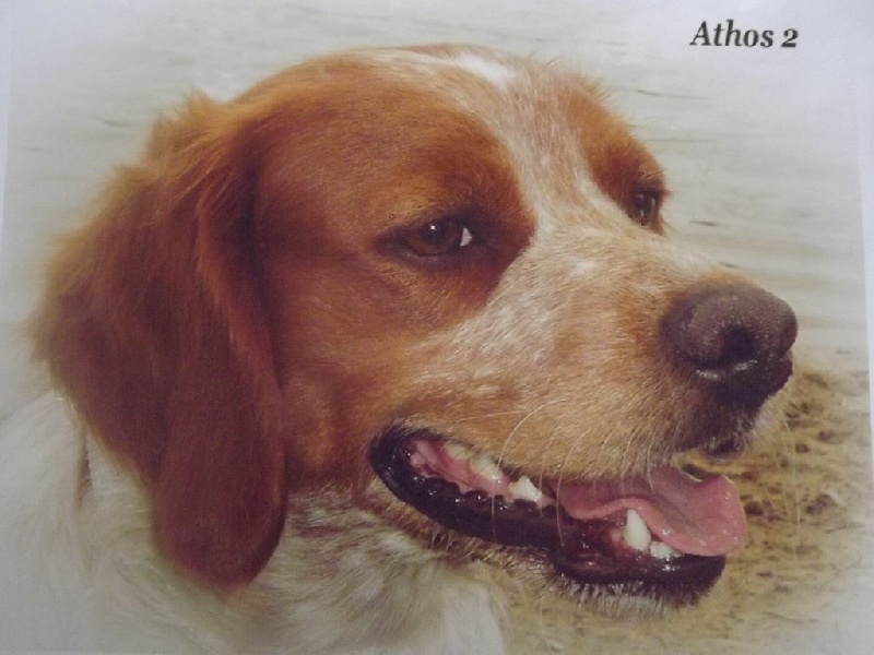 Publication : de la plume picarde