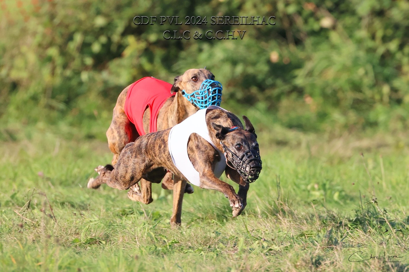 CH. Maïleen quinn of the Moon