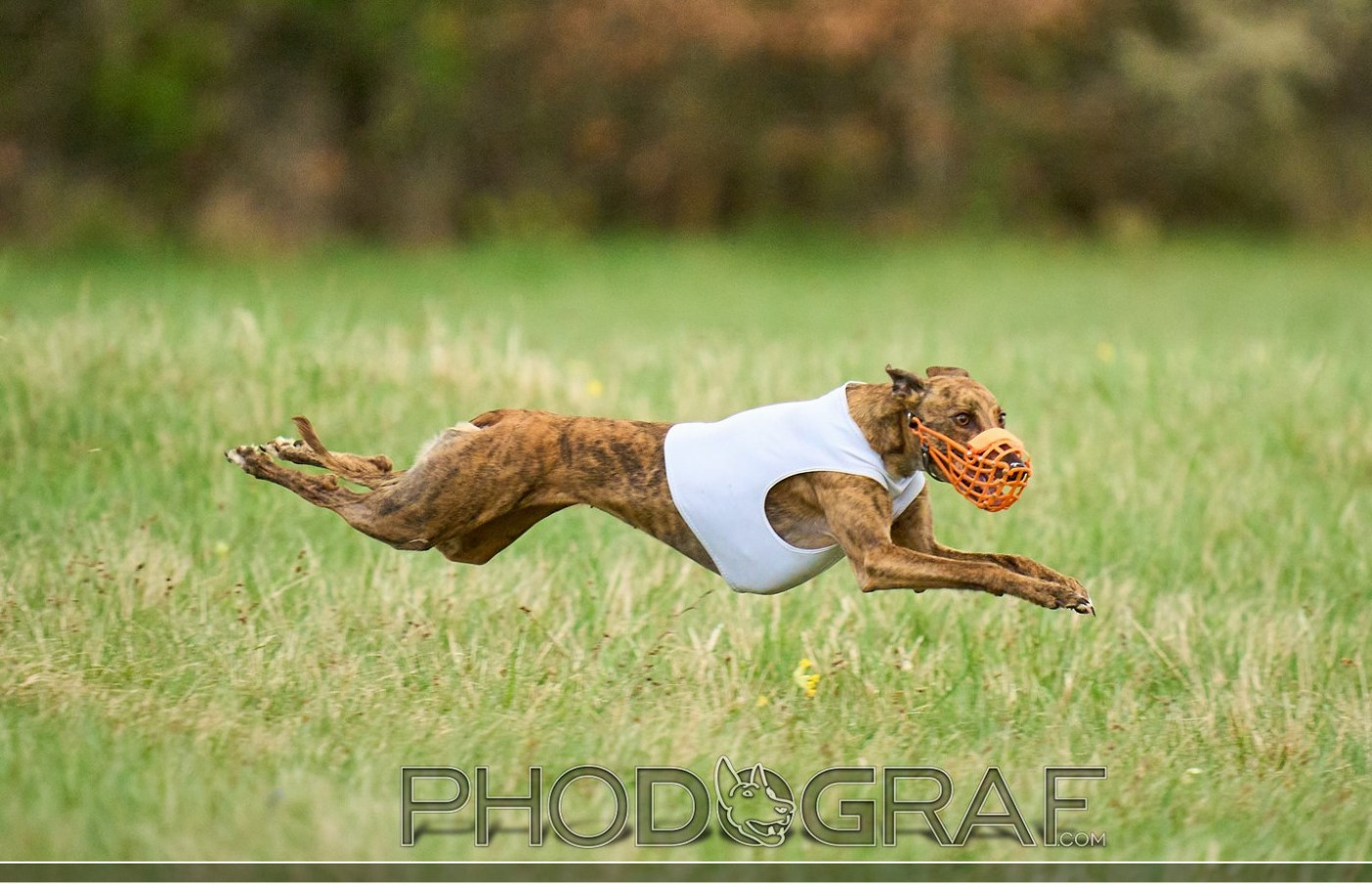CH. Sharleen ulton of the Moon