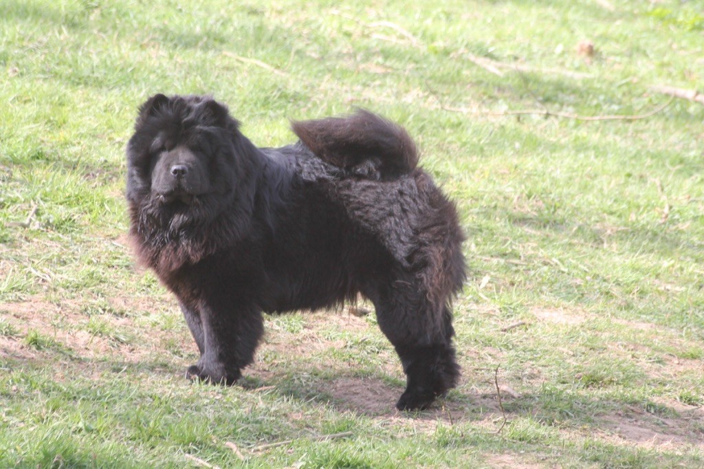 Publication : des gardiens de la Hem