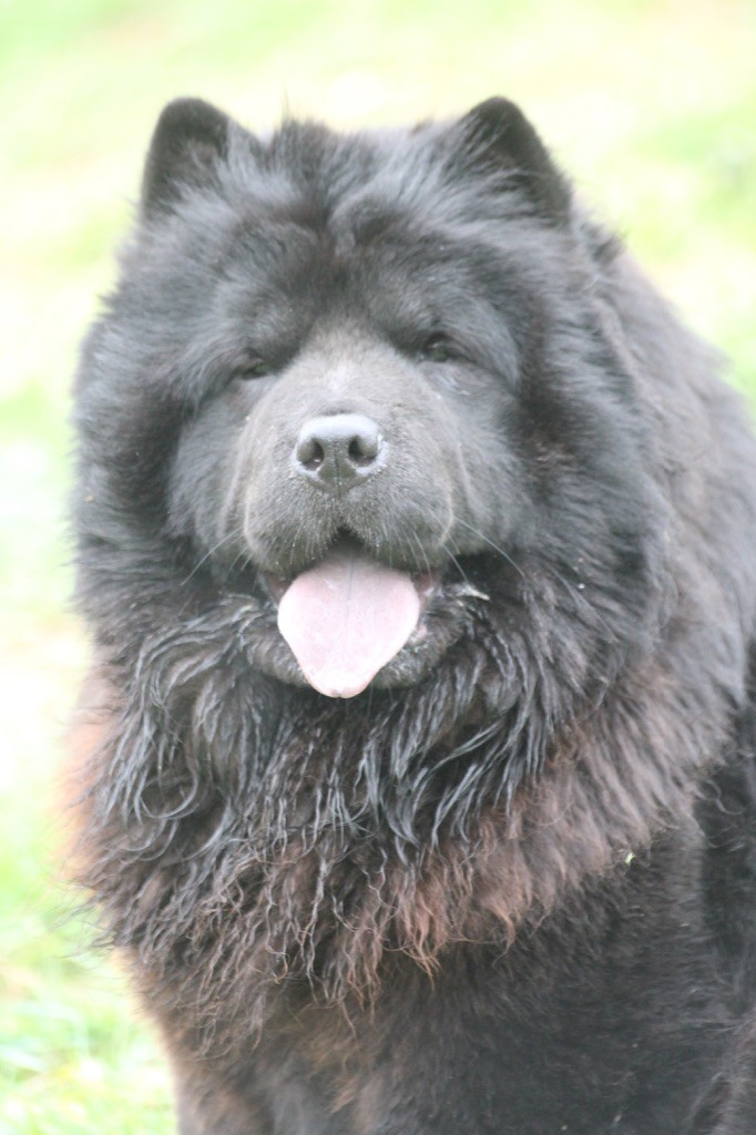 Publication : des gardiens de la Hem