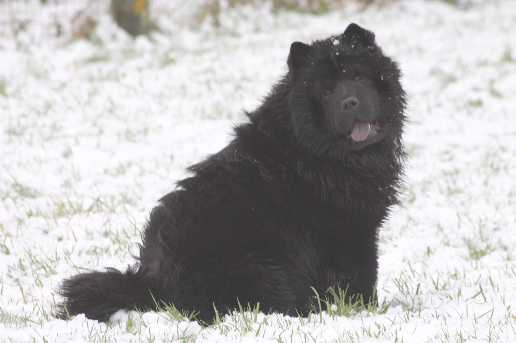 Publication : des gardiens de la Hem