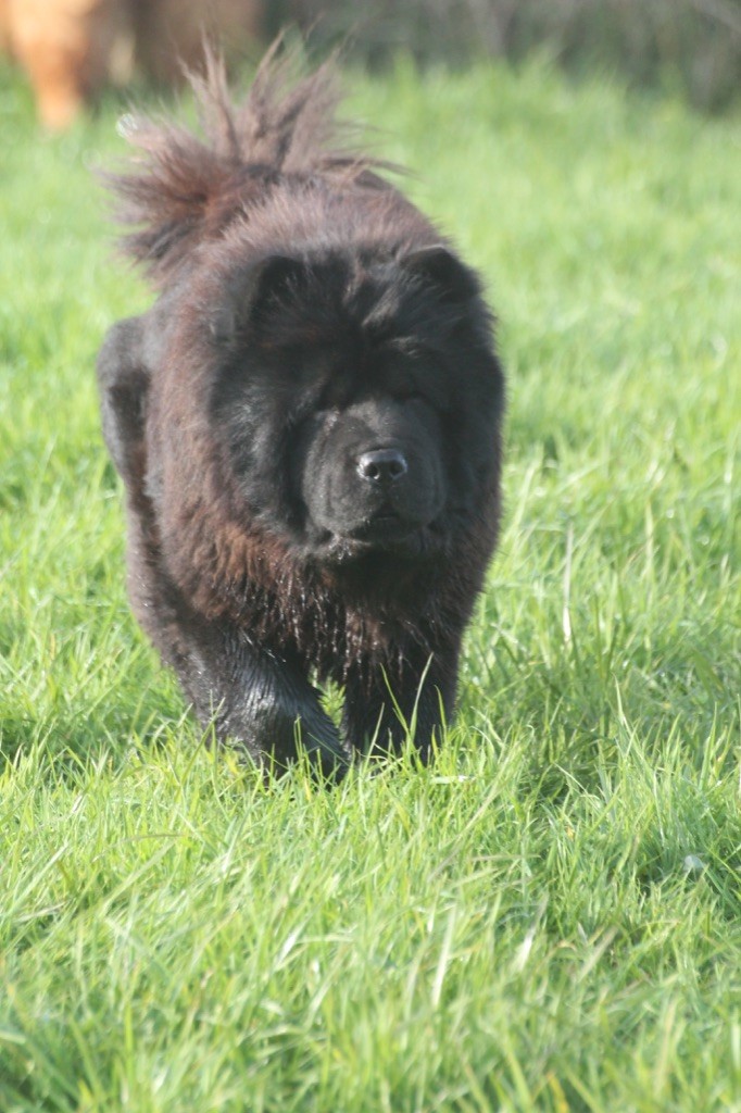 Publication : des gardiens de la Hem