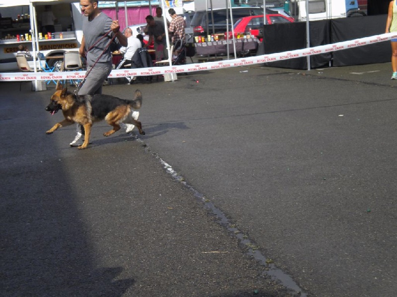 Publication : Du Domaine D'Aurelie Et Amelie Auteur : LE DOMAINE D'AURELIE ET AMELIE