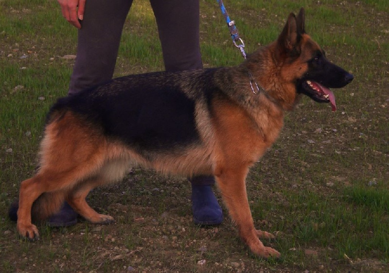 Publication : Du Domaine D'Aurelie Et Amelie Auteur : LE DOMAINE D'AURELIE ET AMELIE