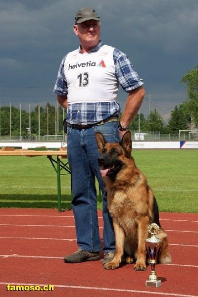 Floyd de la cité des orchidées