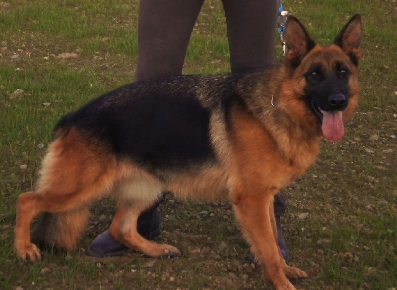 Publication : Du Domaine D'Aurelie Et Amelie Auteur : LE DOMAINE D'AURELIE ET AMELIE